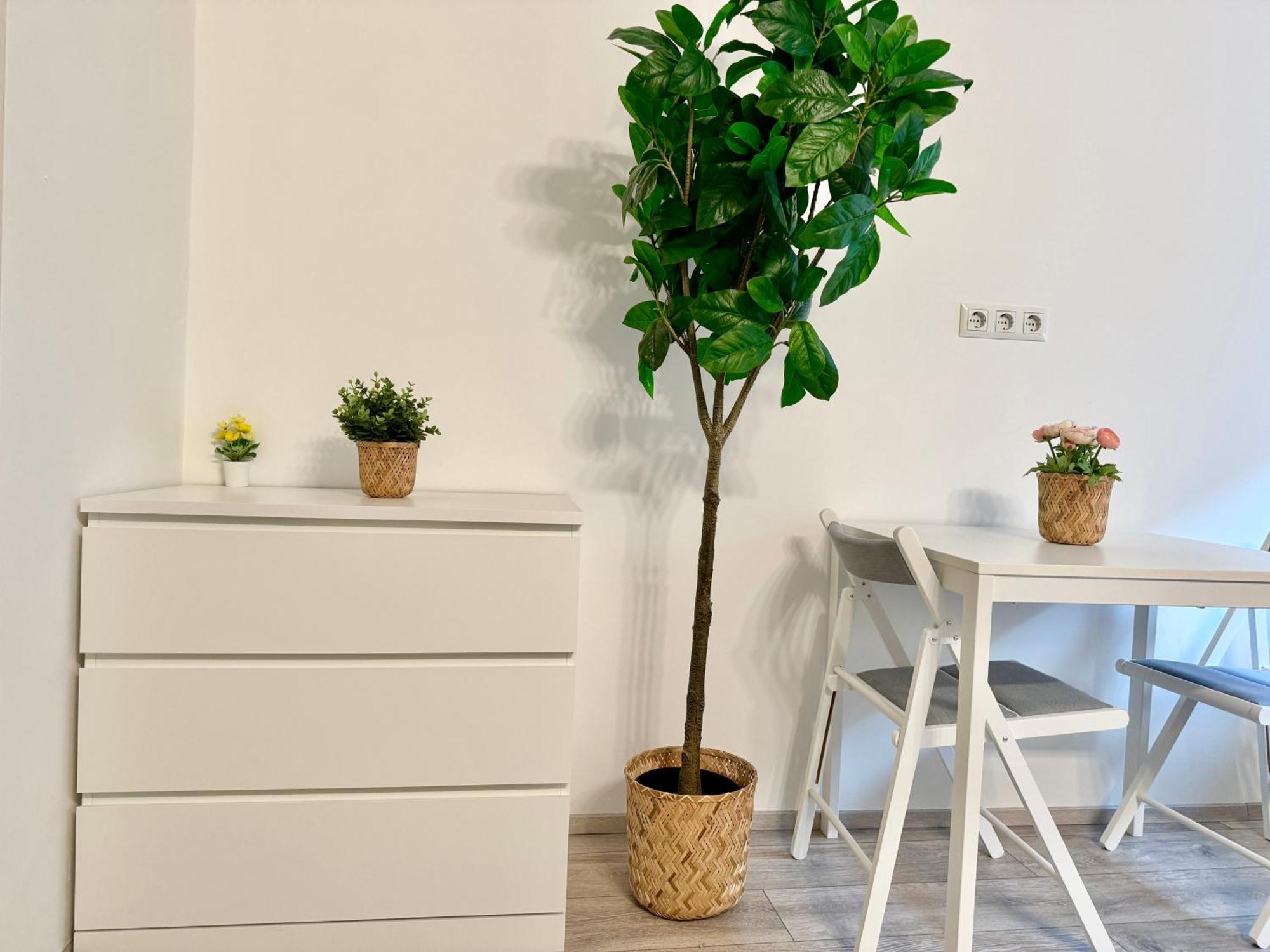 Stylish Schonbrunn Apartments With Free Parking Відень Екстер'єр фото