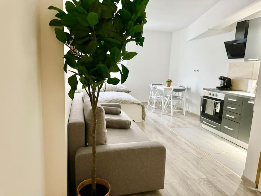 Stylish Schonbrunn Apartments With Free Parking Відень Екстер'єр фото